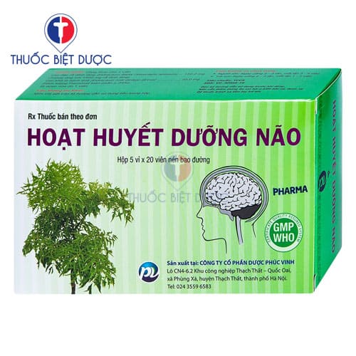 Hoạt huyết dưỡng não