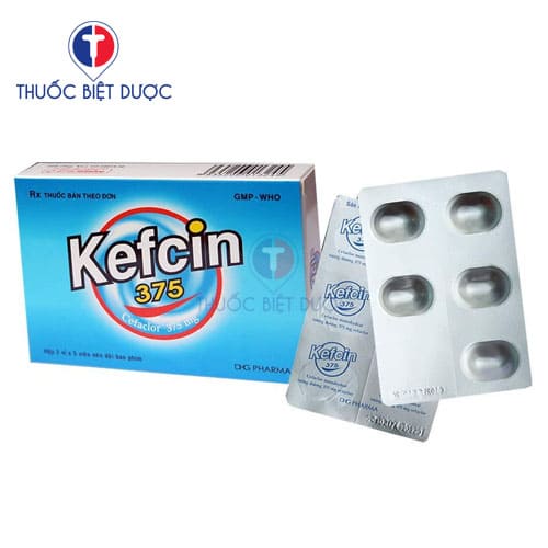 Kefcin 375
