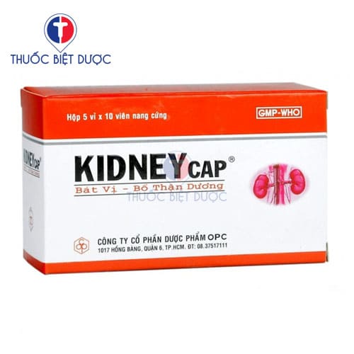 Kidneycap