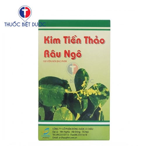 Kim tiền thảo râu ngô