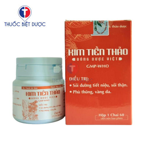 Kim tiền thảo đông dược việt