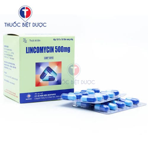 Lincomycin 500mg