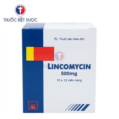 Lincomycin 500mg