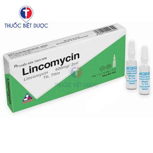 Lincomycin 600mg/2ml