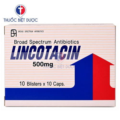 Lincotacin 500mg