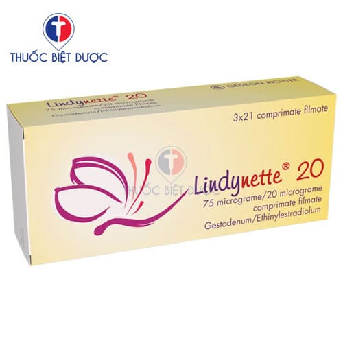 Lindynette 20