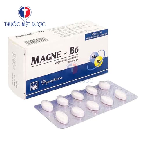Magne - B6