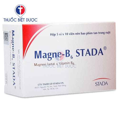 Magne B6 Stada