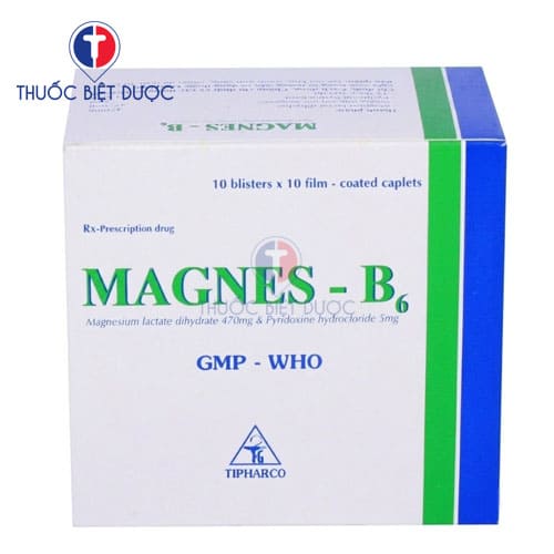 Magnes B6