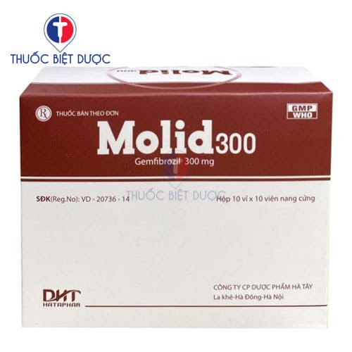 Molid 300
