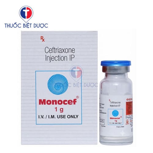 Monocef Injection