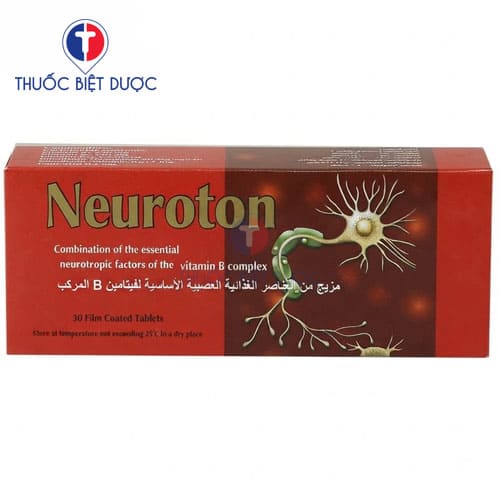 Neuroton