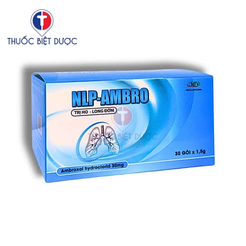 NLP-Ambro