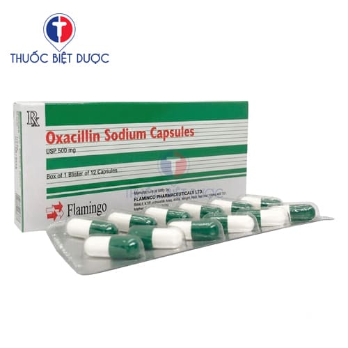 Oxacillin Sodium Capsules USP 500mg
