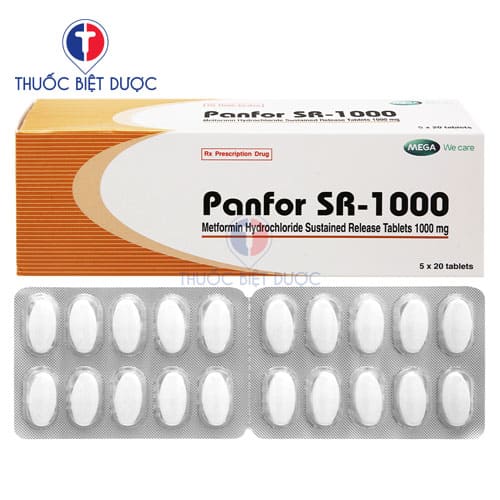 Panfor SR 1000