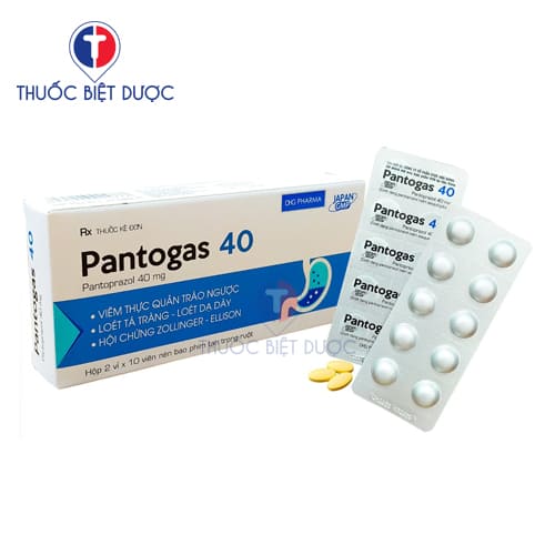 Pantogas 40