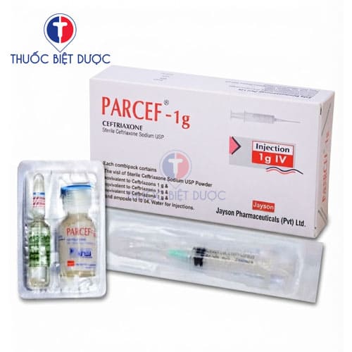 Parcef 1g IV injection