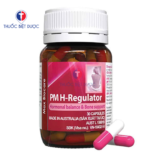 PM H-Regulator