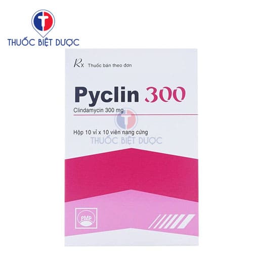 Pyclin 300