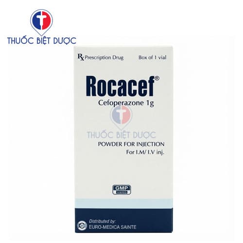 Rocacef