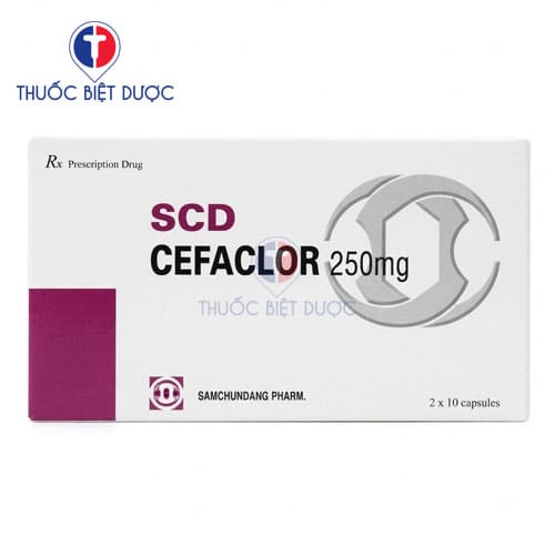 SCD Cefaclor 250mg