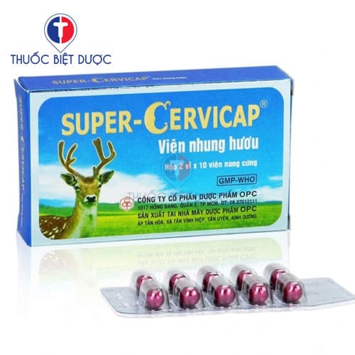 Viên nhung hươu Super-Cervicap