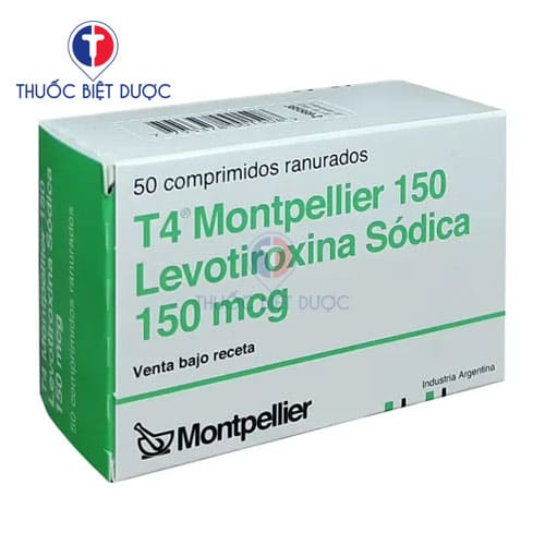 T4 150 Montpellier