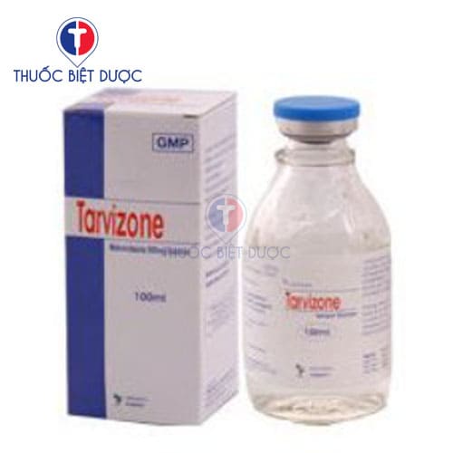 Tarvizone