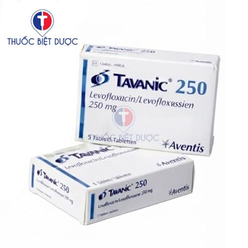 Tavanic