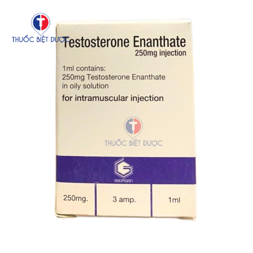 Testosterone Enanthate 250mg Geofman thay thế testosteron