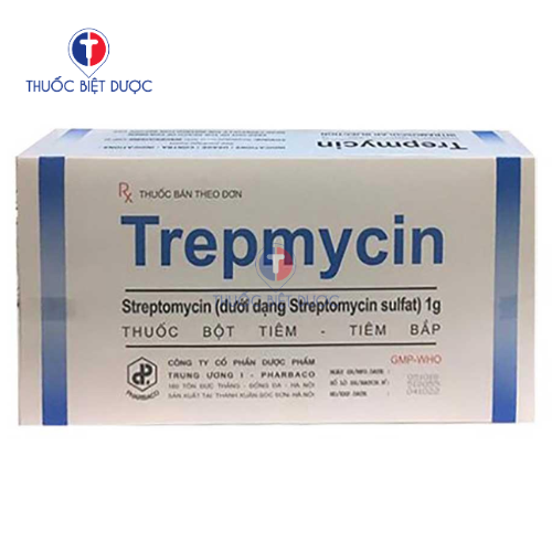 Trepmycin 1g - Thuốc kháng sinh đường tiêm điều trị bệnh lao