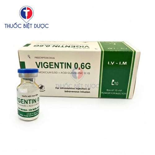 VigenTin