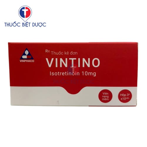 Vintino