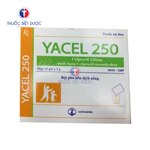 Yacel 250