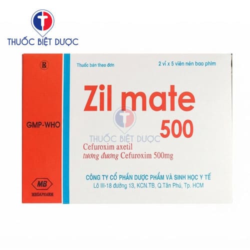 Zil Mate 500