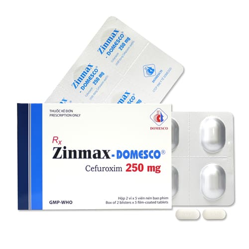 Zinmax Domesco 250mg