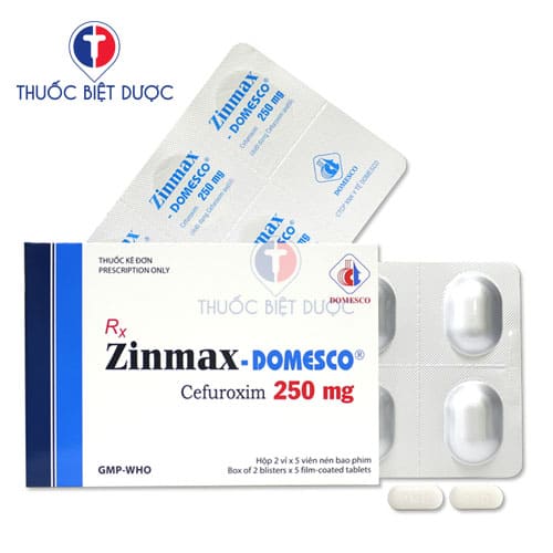Zinmax Domesco 250mg