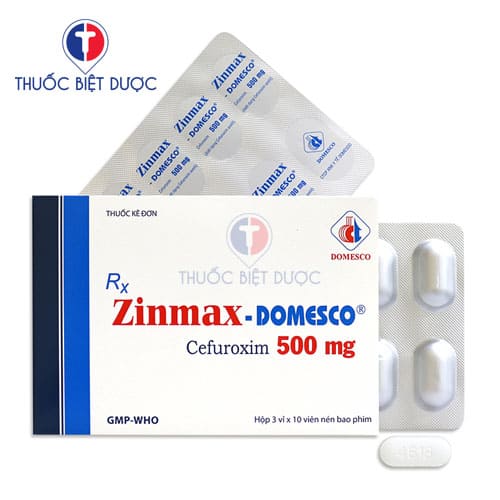Zinmax Domesco 500mg