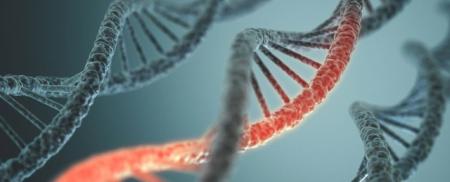 Chỉ cần xóa mã gen này, bạn sẽ thọ 150 tuổi