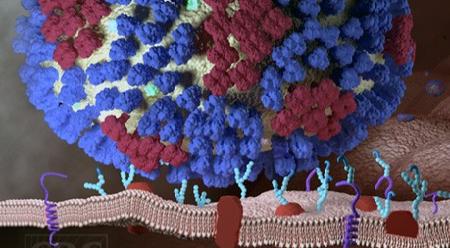 Sản xuất vắc-xin trong cơ thể con người: Triển vọng mới trong phòng bệnh