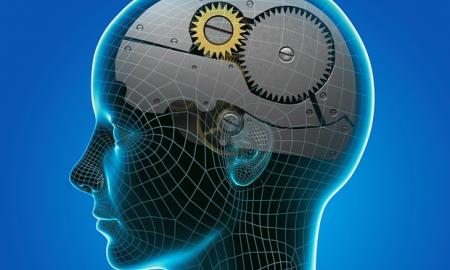 Các nhà khoa học lần đầu xác định nhóm gen có liên quan đến trí thông minh của con người