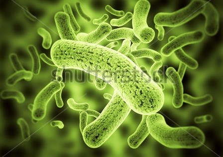 Smartphone phát hiện ký sinh trùng trong máu