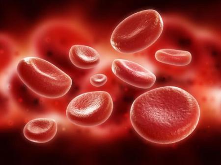 Viagra có thể ngăn ngừa bệnh sốt rét ?