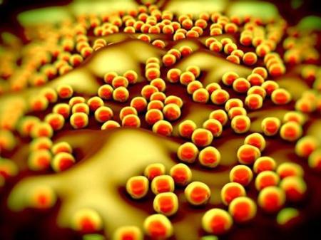 'Vũ khí mới' chống siêu khuẩn