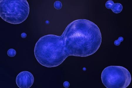 Đã tìm ra phương pháp điều trị ung thư hoàn toàn triệt để