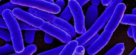 Xuất hiện phương pháp tiêu diệt được hơn 90% các vi khuẩn "nhờn" thuốc kháng sinh