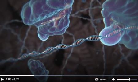 Lần đầu tiên quá trình chỉnh sửa gen CRISPR được quay lại