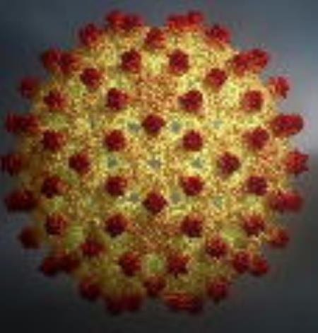 Số người chết vì bệnh gan nhiều hơn AIDS và lao