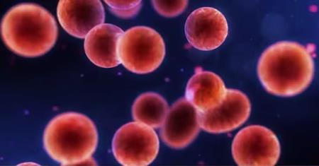 4 cách phòng ngừa đề kháng kháng sinh