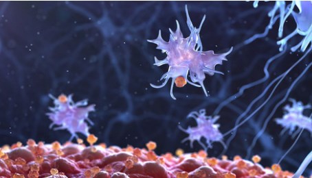 Các nhà khoa học lập trình lại da người, biến chúng thành tế bào tiêu diệt ung thư